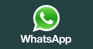 How to Backup Your WhatsApp Messages